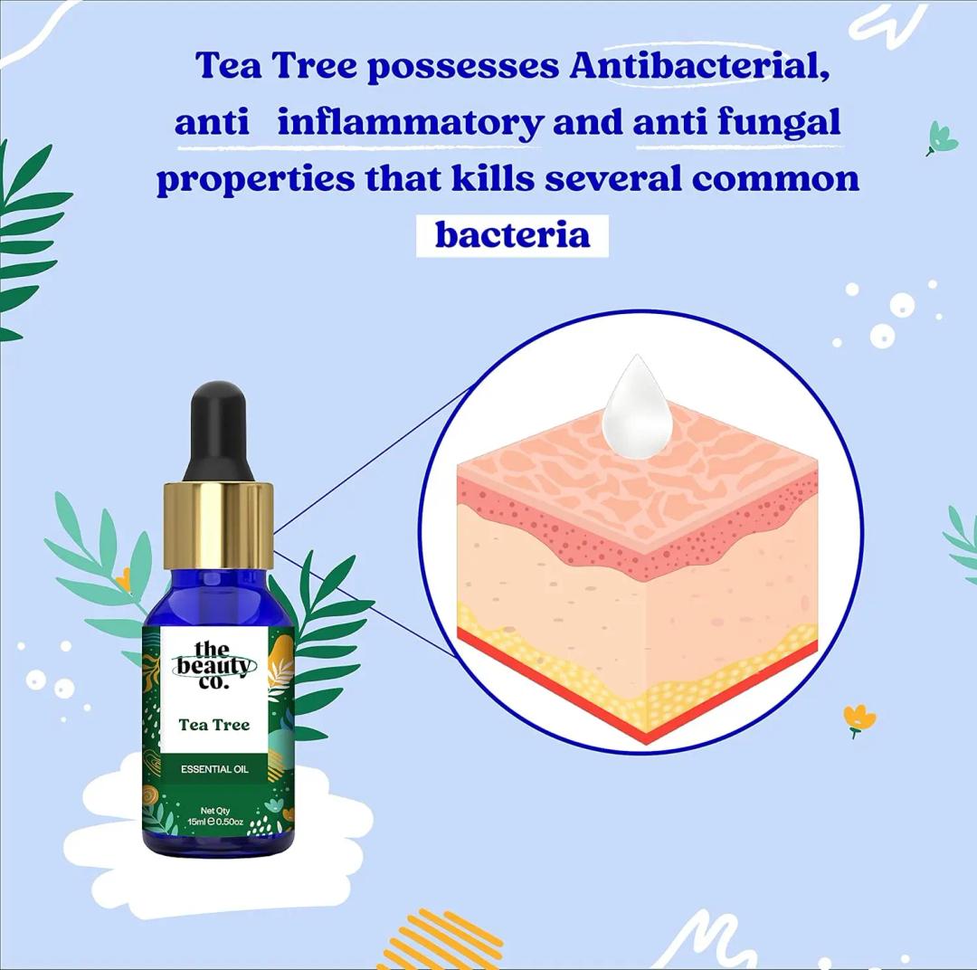 The Beauty Co Tea Tree Oil for Acne and Blemish Free Skin 15 ml | Organic & Pure| Natural | Reduces Dark Spots | For Healthy Skin | Face & Hair | Dandruff Control | All Seasons | Women-Girls