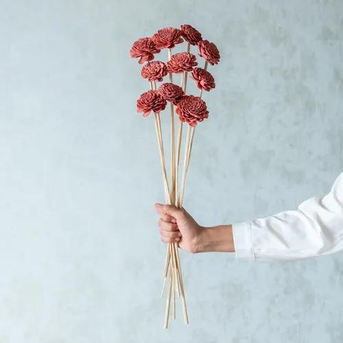 Rustic Pink Sola Belly Flower Sticks (10 sticks)