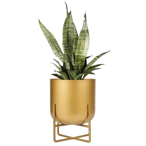 AMASS HANDICRAFTS Planter Pot Stand for Living room, Tabletop Plants, Patio Balcony & Home and Garden Decorative Flower Pot (10inch Height, Glossy Gold)