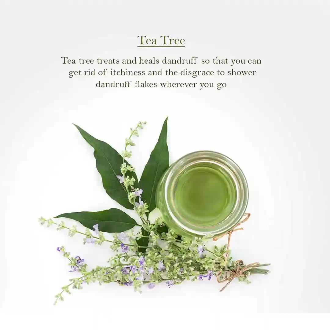 Refreshing Tea Tree Shampoo - 30 Ml